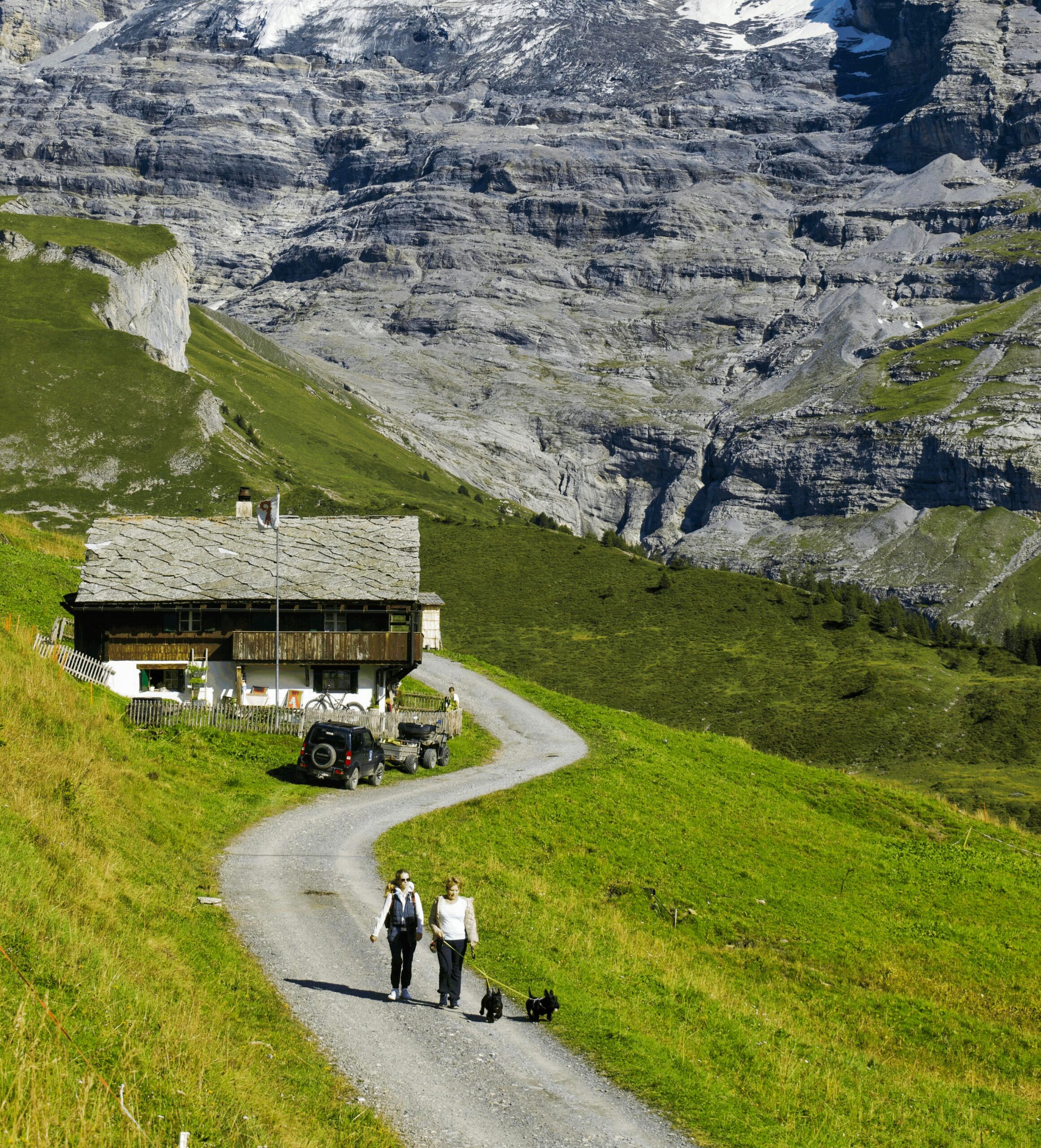 Dog-friendly activities in Switzerland