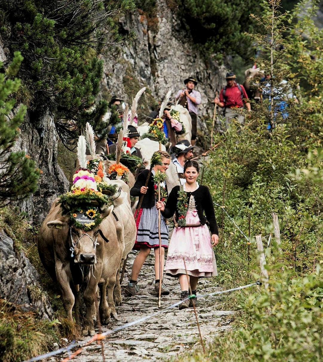 Best place to see Swiss cow parade