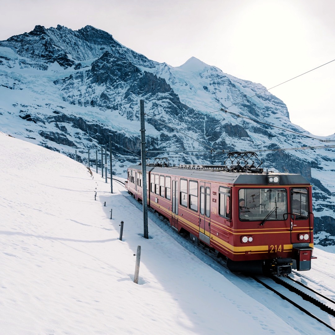 Standard SBB Trains