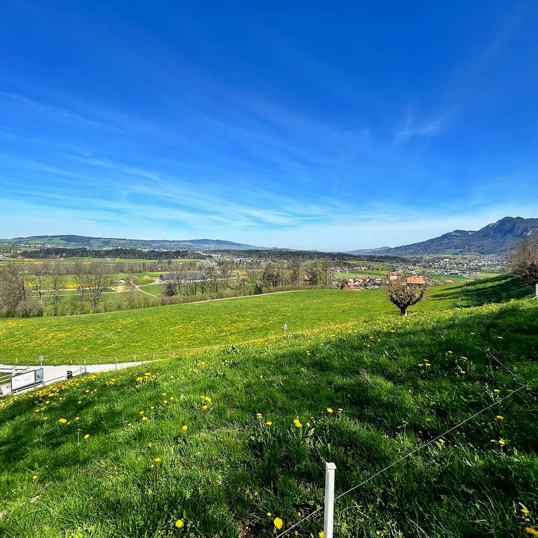 greenery nature of Gruyères