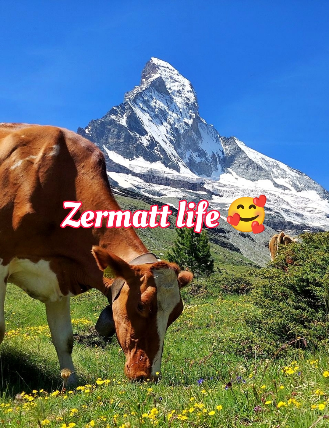 Short Zermatt captions