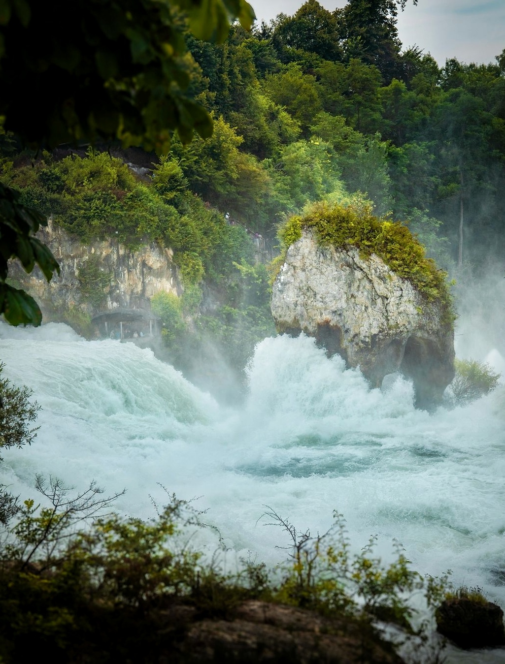 Cute Rhine Falls captions