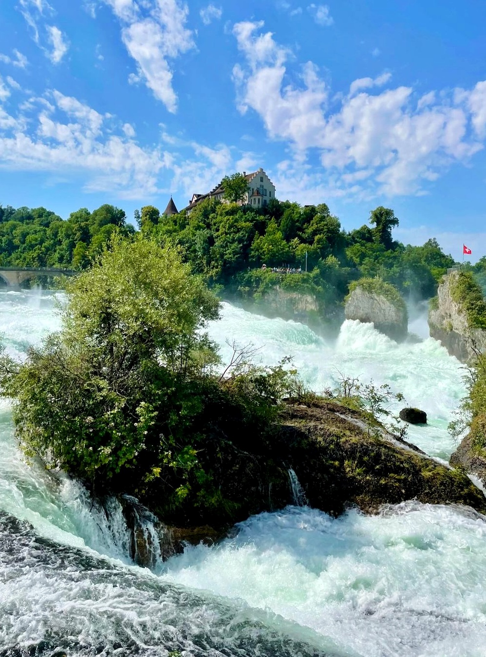 Rhine Falls captions one word